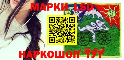 шишки Новокубанск