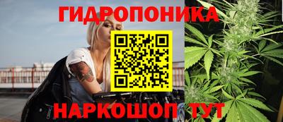 jwh Новодвинск