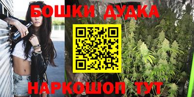 шишки Новокубанск